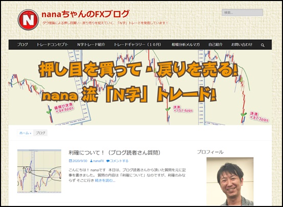 NanaちゃんFX（七松章）「N字トレードシステム」教材の感想と評判